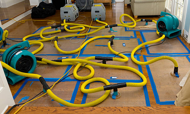 Professional Basement Flood Cleanup technician working in Enoree, SC
